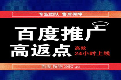 百度推广实战案例：助力企业实现品牌升级